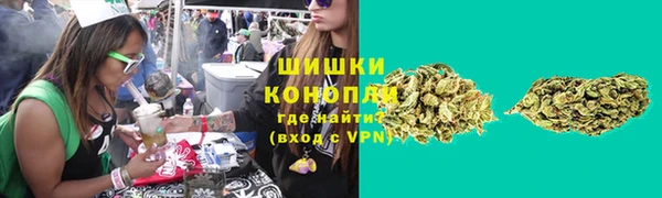 PSILOCYBIN Бородино