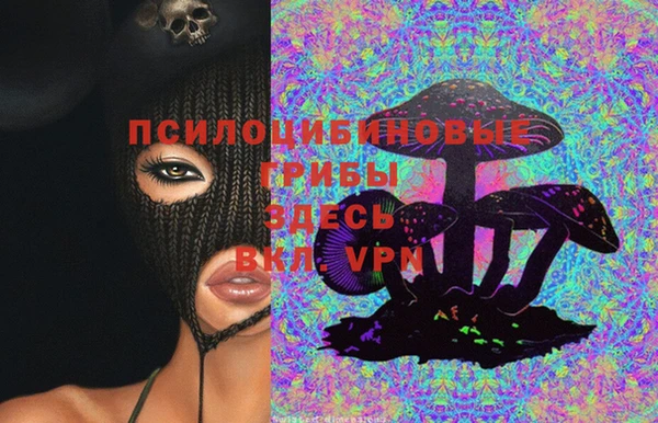 PSILOCYBIN Бугульма