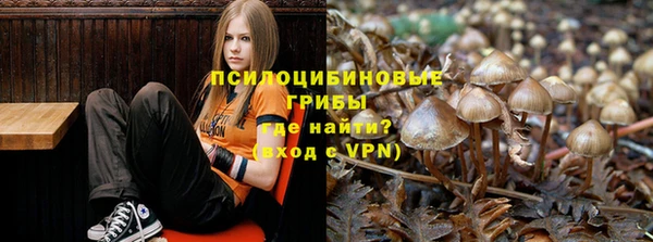 дживик Покров