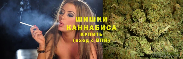 спиды Покачи