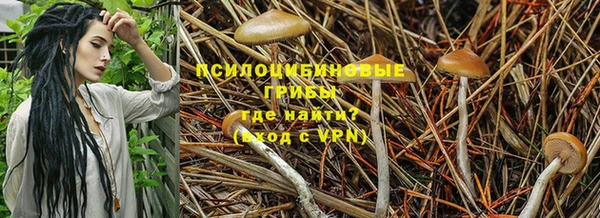 дживик Покров