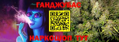 дмт Гатчина