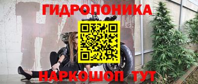 дмт Гатчина