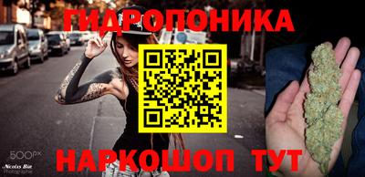 дмт Гатчина