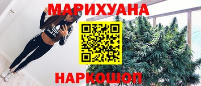 дмт Гатчина