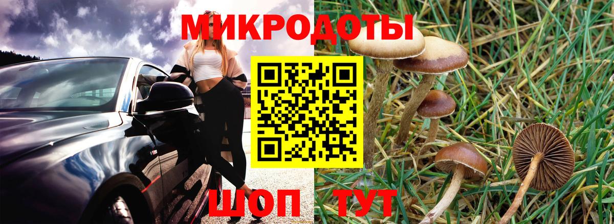 Галлюциногенные грибы прущие грибы  Вход с VPN  Ейск 